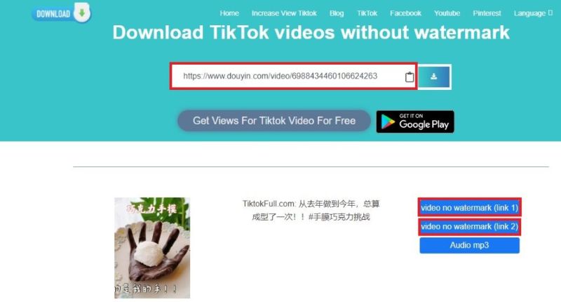TikTok downloader tanpa watermark